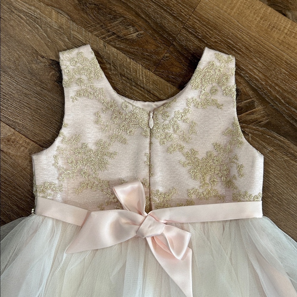 American Princess Girls Toddler Dress Beautiful Fancy Light Pink, Gold, & White - Picture 10 of 13